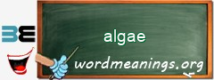 WordMeaning blackboard for algae